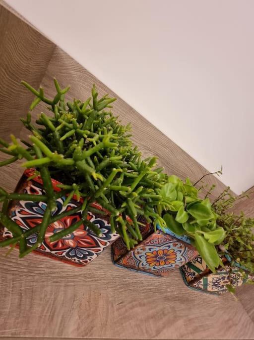 אתונה Ellis Apartment מראה חיצוני תמונה